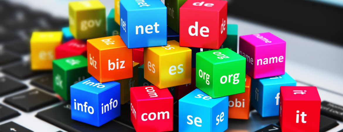 Domain Name Registration