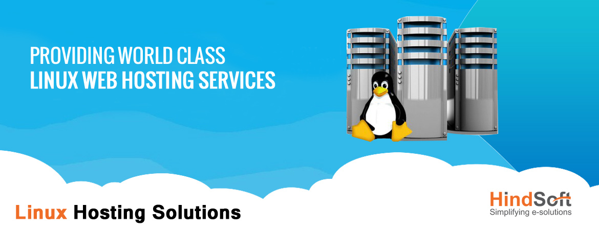 linux web hosting services